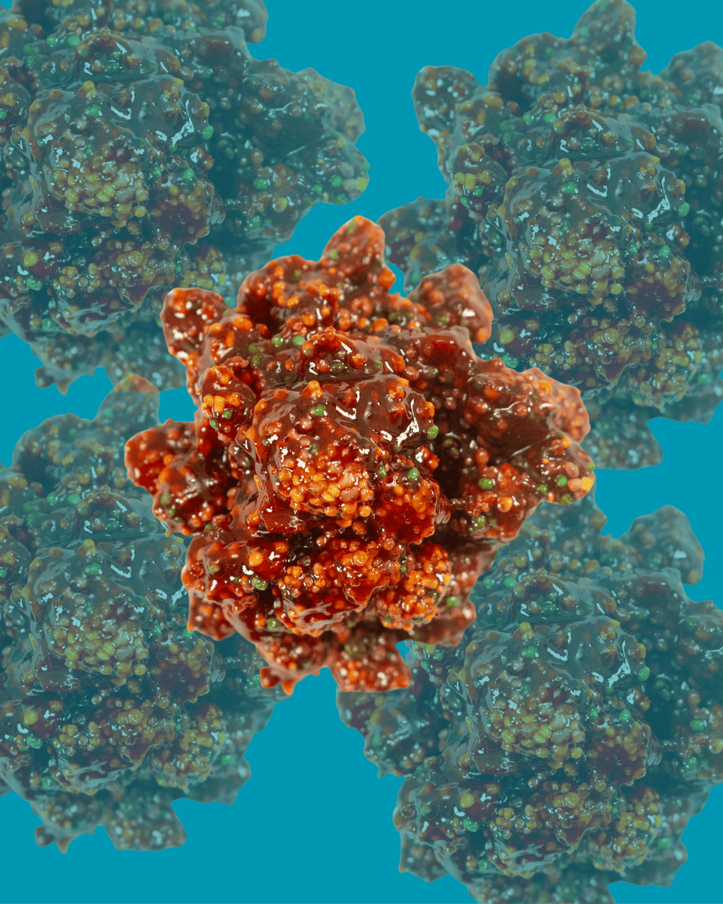 Chapatito Nerds Clusters